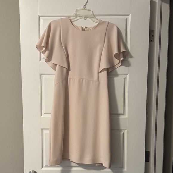 Club Monaco Dresses & Skirts - Club Monaco Blush Flutter Sleeve Mini Dress